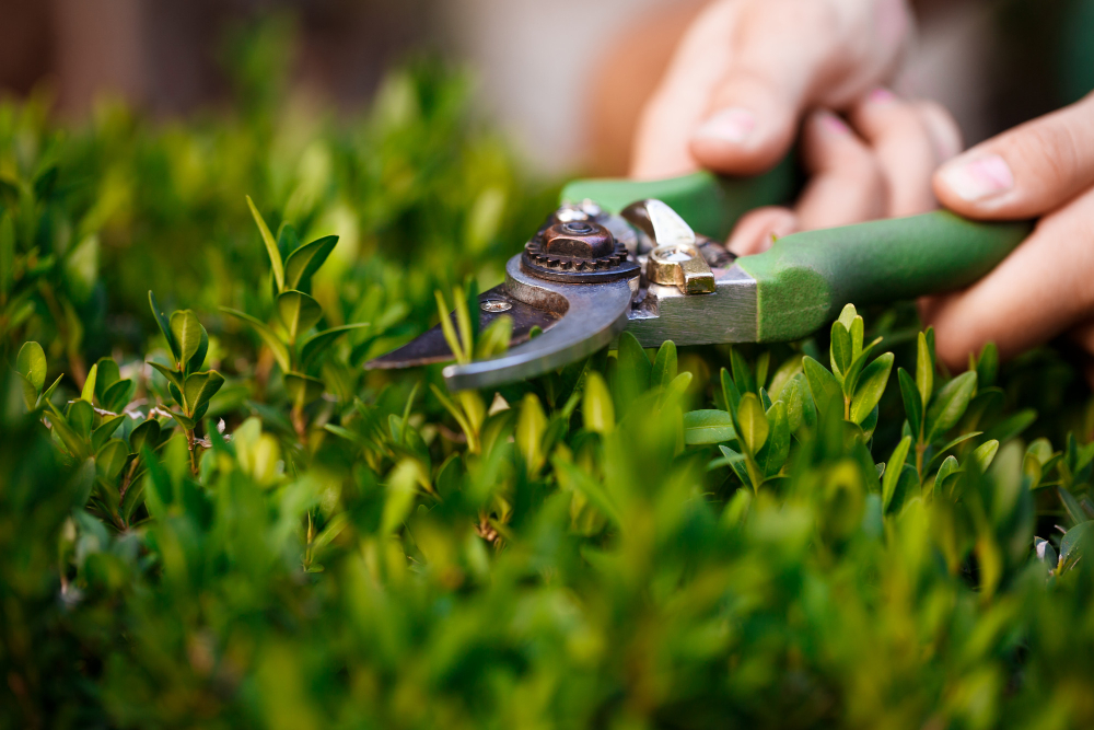 Landscaping